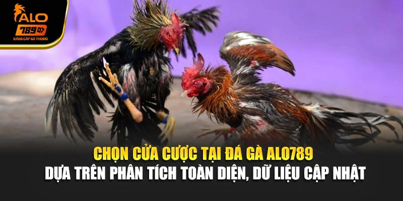 Chọn cửa cược tại đá gà Alo789 dựa trên phân tích toàn diện, dữ liệu cập nhật
