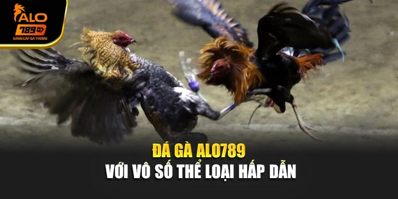 Đá gà Alo789 với vô số thể loại hấp dẫn