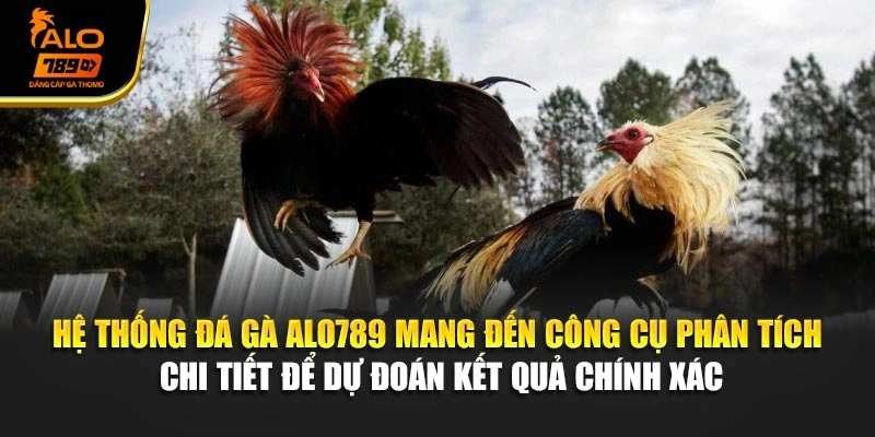 Hệ thống đá gà Alo789 mang đến công cụ phân tích chi tiết để dự đoán kết quả chính xác