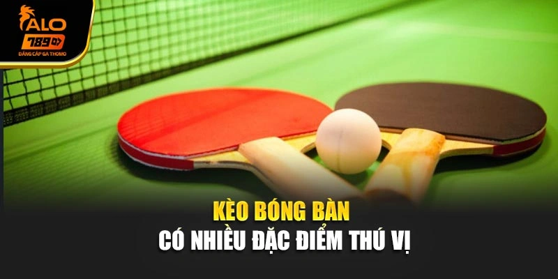 Kèo bóng bàn có nhiều đặc điểm thú vị
