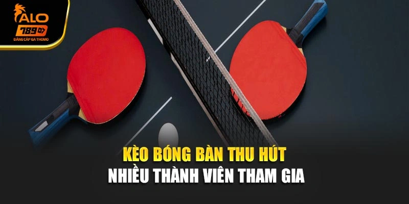 Kèo bóng bàn thu hút nhiều thành viên tham gia