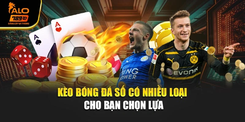 Kèo bóng đá số có nhiều loại cho bạn chọn lựa