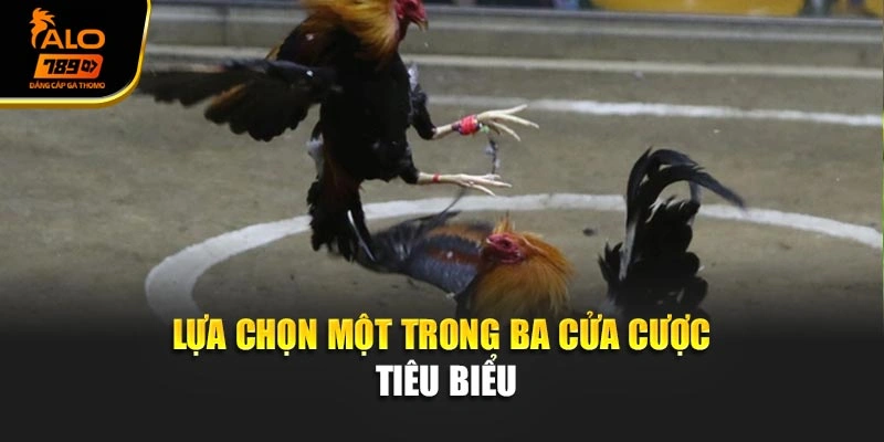 Lựa chọn một trong ba cửa cược tiêu biểu