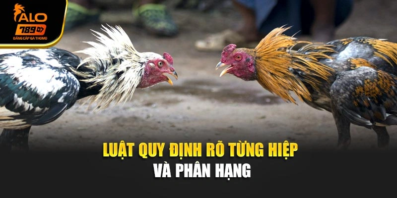 Luật quy định rõ từng hiệp và phân hạng