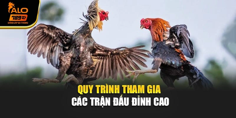 Quy trình tham gia các trận đấu đỉnh cao
