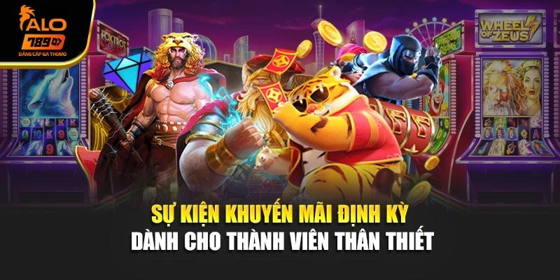Sự kiện khuyến mãi định kỳ dành cho thành viên thân thiết