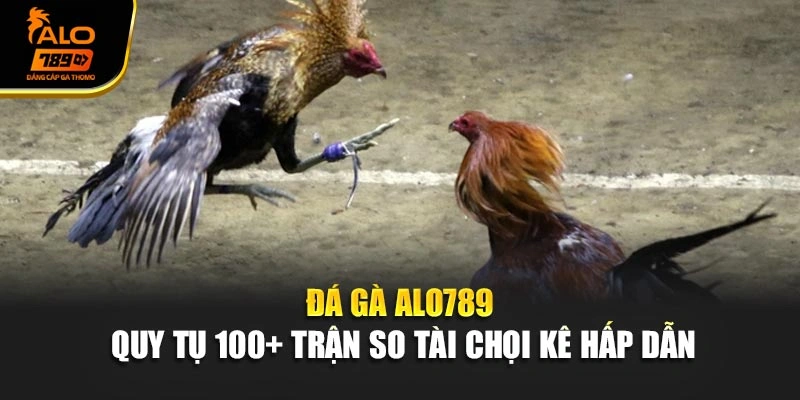 Đá Gà Alo789 - Quy Tụ 100+ Trận So Tài Chọi Kê Hấp Dẫn