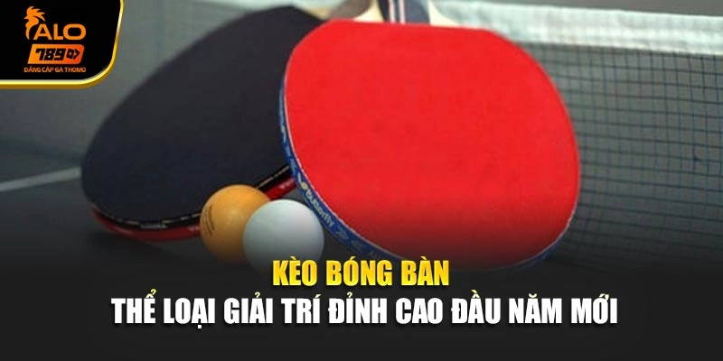 Kèo Bóng Bàn - Thể Loại Giải Trí Đỉnh Cao Đầu Năm Mới